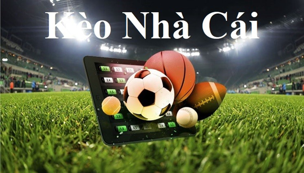 VB68-Thưởng ngay với các ưu đãi độc quyền từ nhà cái! VB68-Thưởng ngay với các ưu đãi độc quyền từ nhà cái!